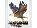 graphic-designs-small-4