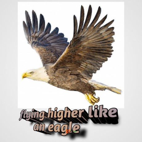 graphic-designs-big-4