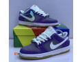 nike-dunk-sb-sneakers-small-3