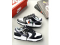 nike-sb-dunk-sneakers-small-2