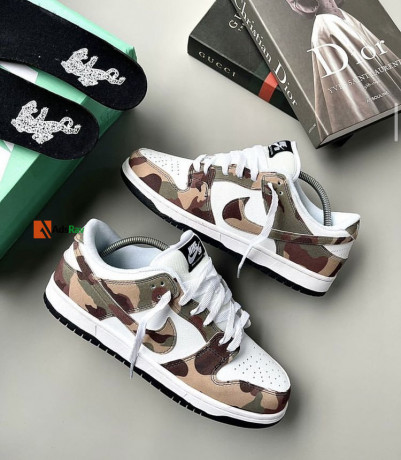 nike-sb-dunk-sneakers-big-3