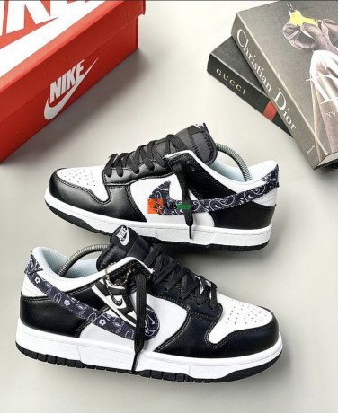 nike-sb-dunk-sneakers-big-2