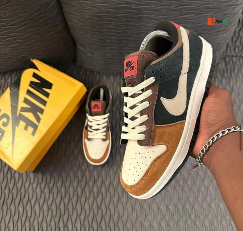 nike-sb-dunk-low-sneakers-big-0