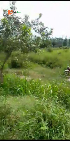 for-sale-100-acres-of-land-at-ibafo-off-lagosibadan-exp-way-call-08037066352-big-0
