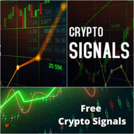 to-get-free-signals-on-crypto-currency-join-our-telegram-channel-now-big-0